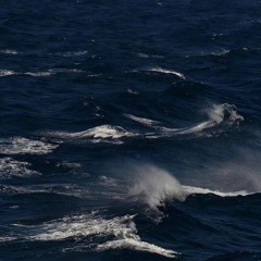WaveBrezze