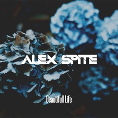 Alex Spite - Beautiful Life