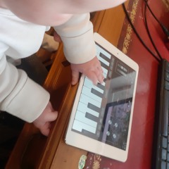 Maggie's First Song
