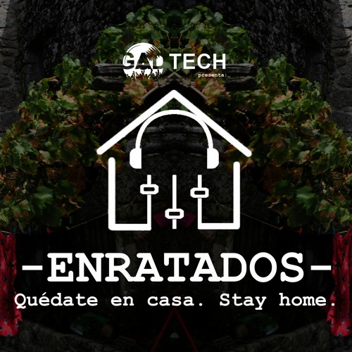 Diego Bolaños - GAD TECH - ENRATADOS 01