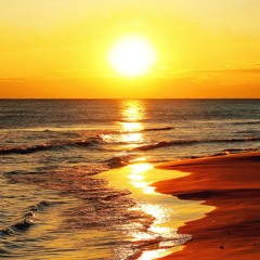 Shyntwirl - The Beach Under The Sunset Sky