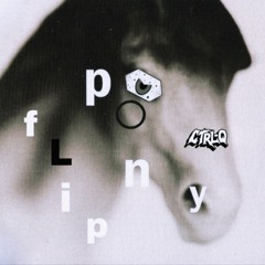 Ginuwine - Pony (CTRL-Q FLIP)
