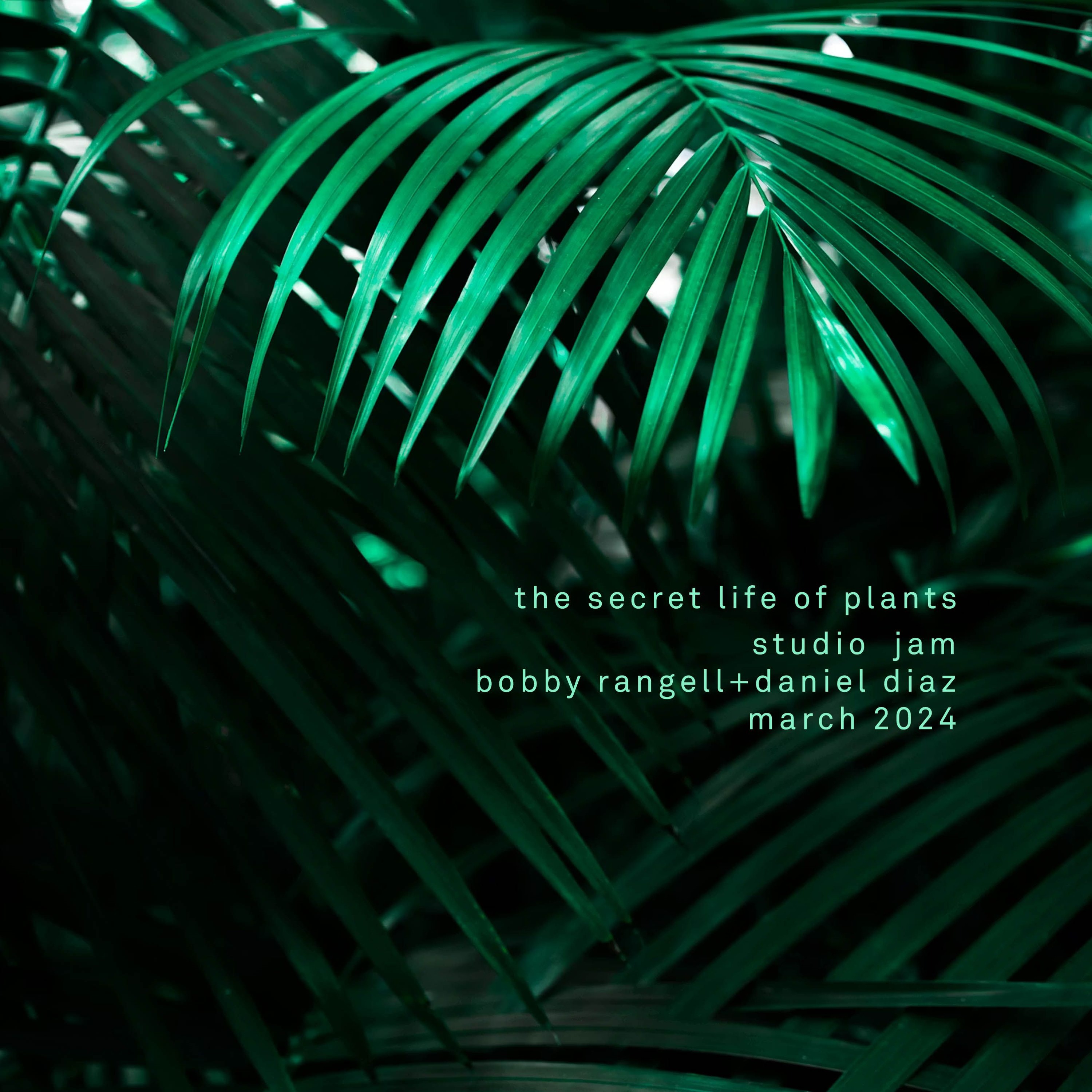 The Secret Life Of Plants (studio jam) episode artwork