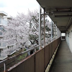 should i believe (overr)