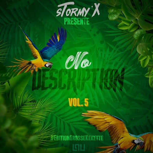 NO DESCRIPTION 5 #DJ STORMY'X
