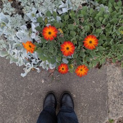 Found (Hillsong Worship)