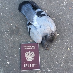 happy_kitty_drugs - руки в крови