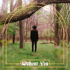 Without You