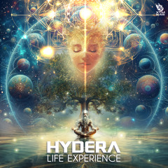 Life Experience
