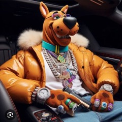 2025