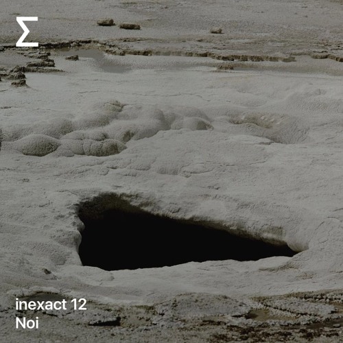 Inexact 12 – Noi