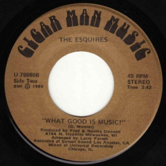 The Esquires - What Good is Music (strucel edit)