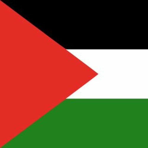 BONUS: Focus on Palestine feat. Mohammad Alsaafin