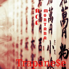 Ace Montana- TRAPANESE