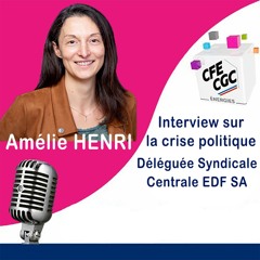 Interview Amelie Henri sur la crise politique