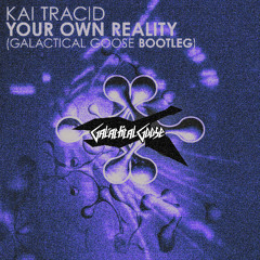 Kai Tracid - Your own reality (Galactical Goose Bootleg)