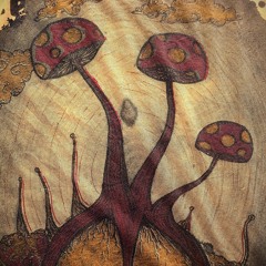 a gift from god (r.s.stropharia + rassmuss rassmussen) 24.01.2025