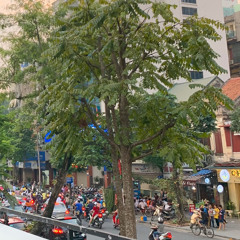 Nếu Em Im Lặng Hạnh Sino