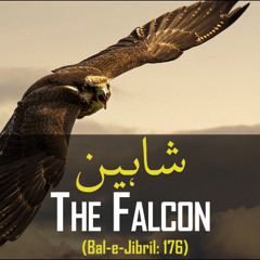Kalam-e-Iqbal - Shaheen - Bal-e-Jibreel(#176)