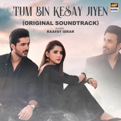 Tum Bin Kaysy Jiyen | OST 🎶 | Raafay Israr | ARY Digital