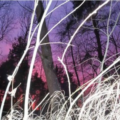 DJ HUMAN EVOLUTION - Skewer (Radius Mix)