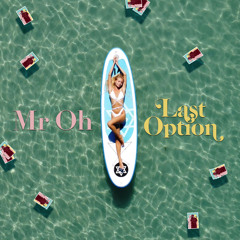 Last Option [mixed English version]