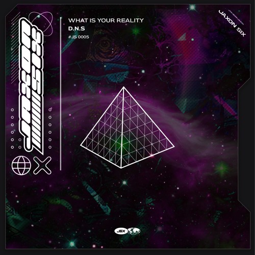 D.N.S - What Is Your Reality? (Preview)