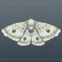 Moth (prod by Cold Melody )