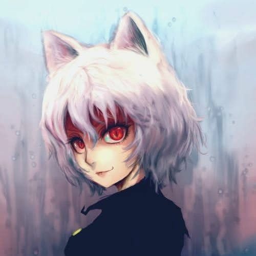 Stream É o Meu Dever, Neferpitou (Hunter x Hunter)