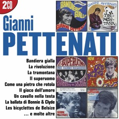 I Grandi Successi: Gianni Pettenati