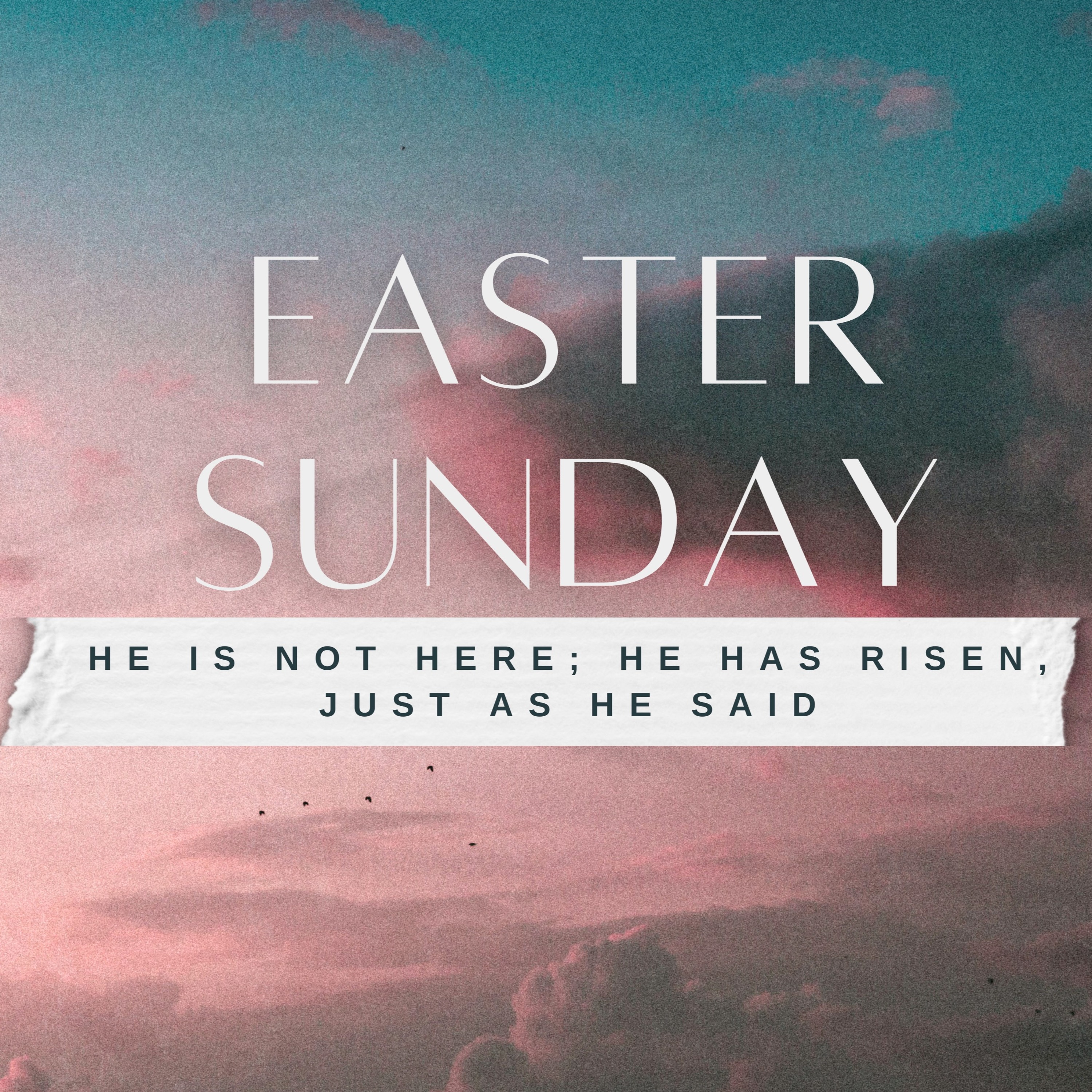 Acts 2:22-41: Fast Acting and Long Lasting episode artwork
