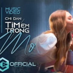 Chi Dan Tim Em Trong Mo 20100