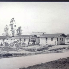 Fighting to Survive in SDCP