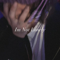 Im Not Lonely (prod.33nimb)