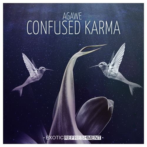 Agawe - Confused Karma (Ian Ludvig Remix) // Exotic Refreshment