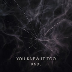 You Knew It Too