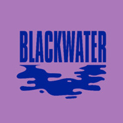 Kevin McKay, The Deepshakerz, Elliotte Williams-N'Dure - Blackwater (Extended Mix)