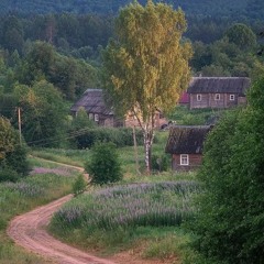 Смешарики-смысл жизни