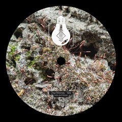 AN PREMIERE 333 | Chaz Moloney - Hunting Tool [HEADLIGHT]