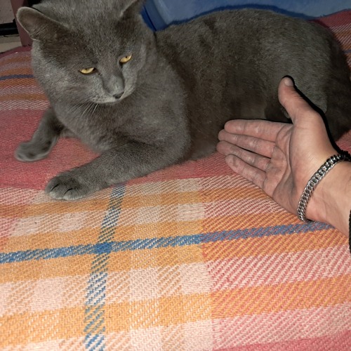 The time is passing by.mp3