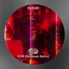 XLR8 (Moldovan Remix) [ZBREP067022]