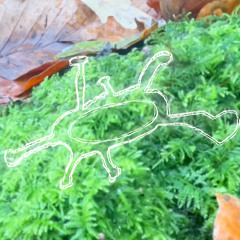 moss (keyblade + slappy)