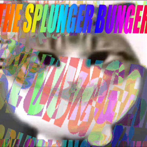 The Splunger Bunger