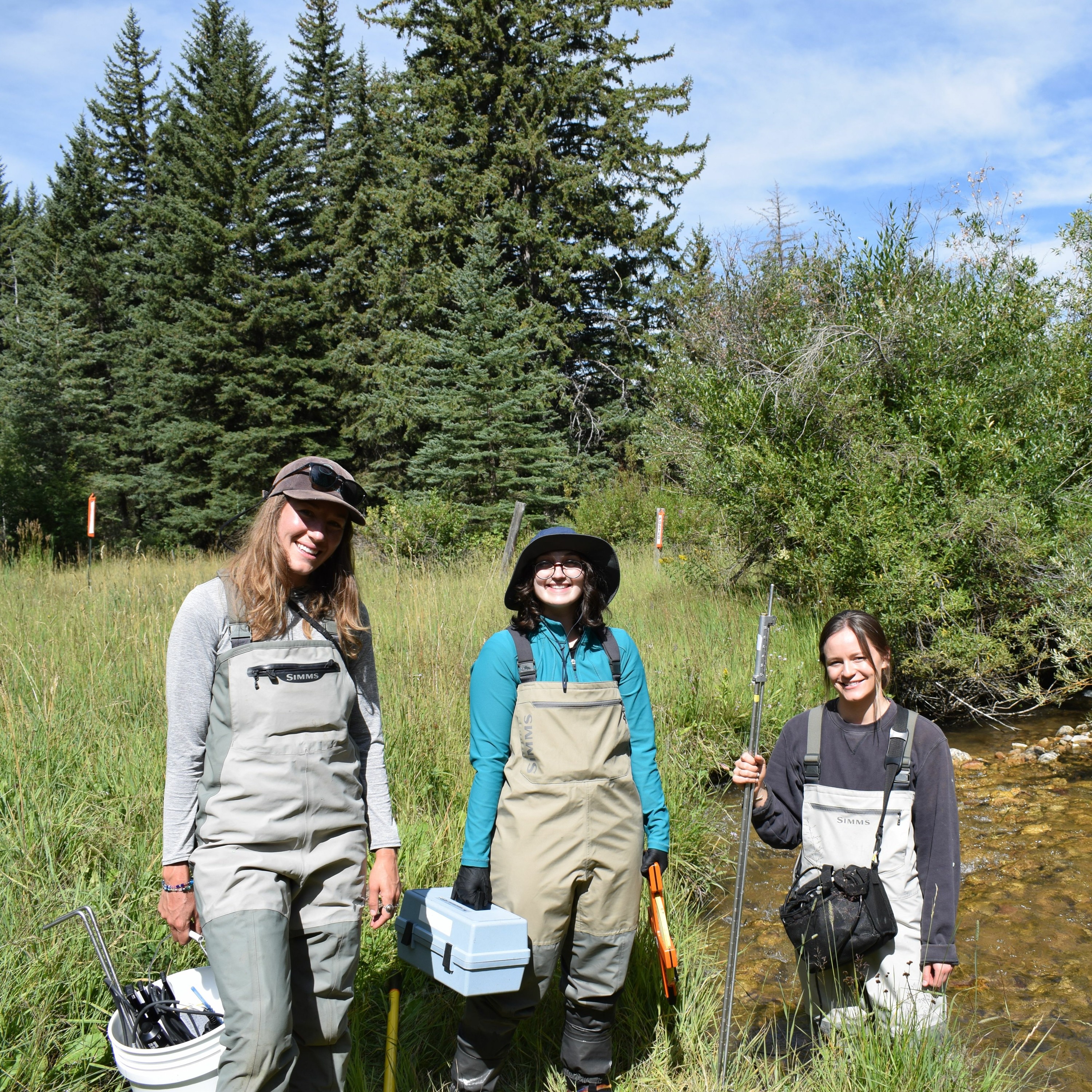 Study determines human sewage as major fecal contaminant in select Teton County waterways episode artwork