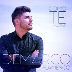 Flamenco, Rumbita y más