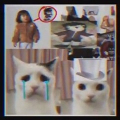 Vs Cartoon Cat - Sana Mi Dolor