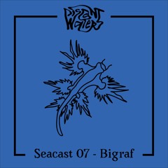 Seacast 07 - Bigraf (La Récré)