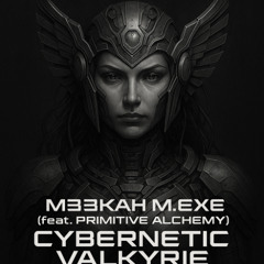 Cybernetic Valkyrie