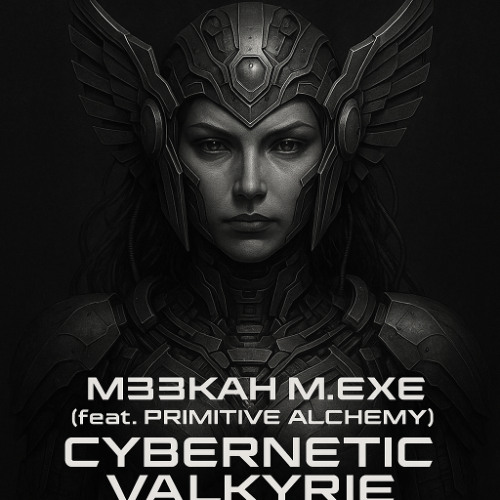 Cybernetic Valkyrie