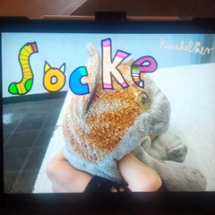 Stinkesocken